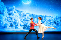 Snow Scene